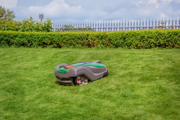 Çimlerin üzerinde robot çim biçme makinesi, yan görüş. Bahçe modern uzak teknoloji.