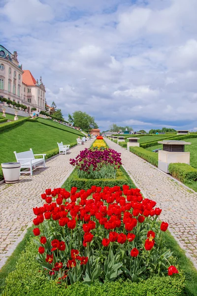 Tulipas vermelhas e amarelas no parque. Festival de tulipas coloridas no parque botânico . — Fotografia de Stock