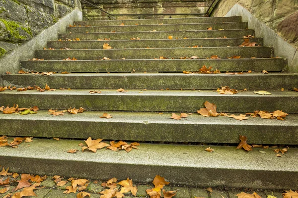 Venkovní kamenné schodiště pokryté podzimními listy — Stock fotografie
