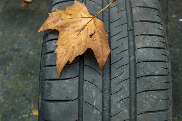 夏のタイヤの秋の葉ゴムトレッド車のタイヤ — ストック写真