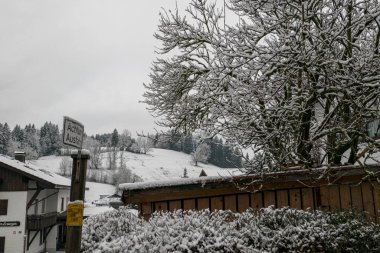 Oberstaufen 'de ağaç ve çitli kış manzarası