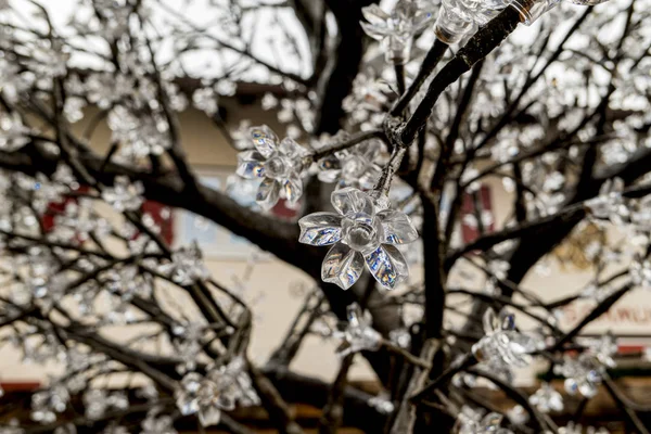 Glass blossom flowers on a tree for christmas — Stock Photo, Image