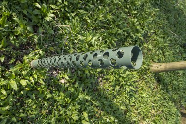 Ormanın yeniden ağaçlandırılmasında plastik koruma altında ağaç yetiştiriliyor.