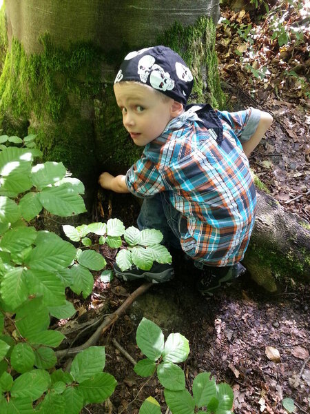 Geocaching in the forest is looking for a boy