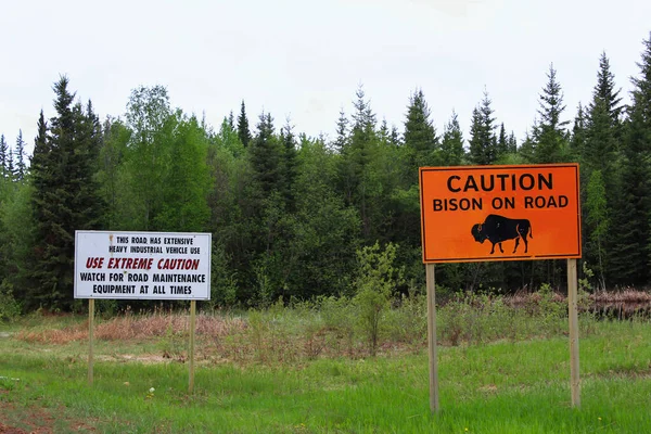 Pozor, bizon na silnici, velká oranžová cedule — Stock fotografie