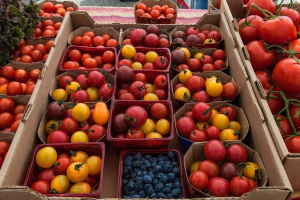 Pomodori venduti sul mercato — Foto Stock