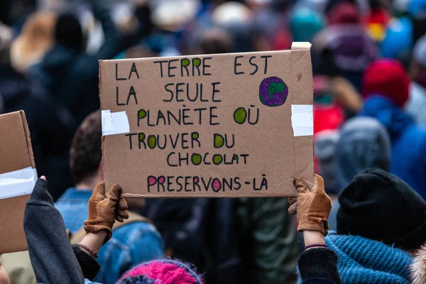 Des militants marchent pour l'environnement — Photo