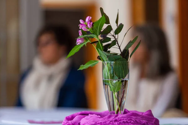 Yaprakları masanın üzerine yerleştirilmiş bir saksıda sergilenen pembe çiçekler. — Stok fotoğraf