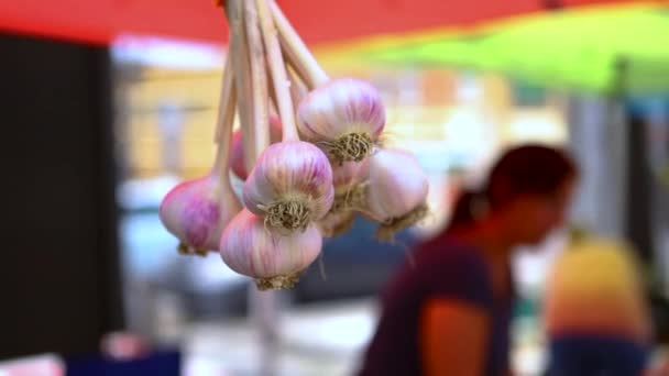 Suspended Garlic at the farmers market — Stock Video