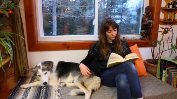 Menina está lendo um livro em uma sala de estar — Vídeo de Stock