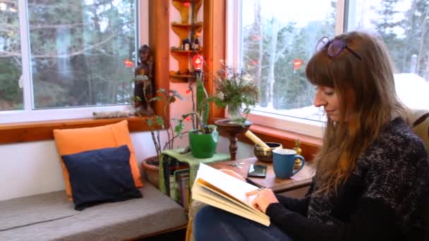 Menina está lendo um livro em uma sala de estar — Vídeo de Stock