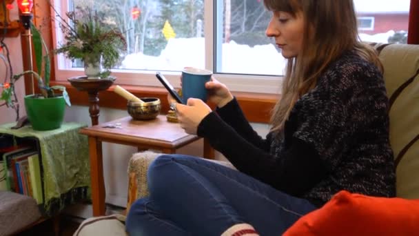 ผู้หญิงใช้โทรศัพท์มือถือในห้องนั่งเล่น — วีดีโอสต็อก