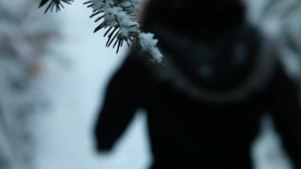 Blurry woman walking and hiking in a forest in winter — Stock Video