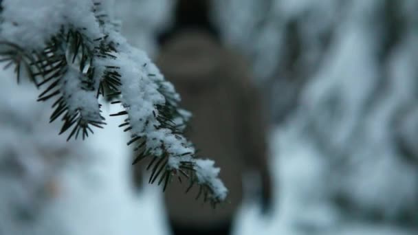 Rozmazaný muž chůzi a pěší turistiku v lese v zimě — Stock video