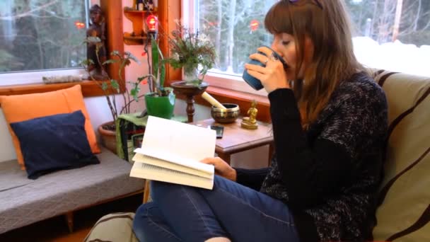 A lány könyvet olvas a nappaliban. — Stock videók