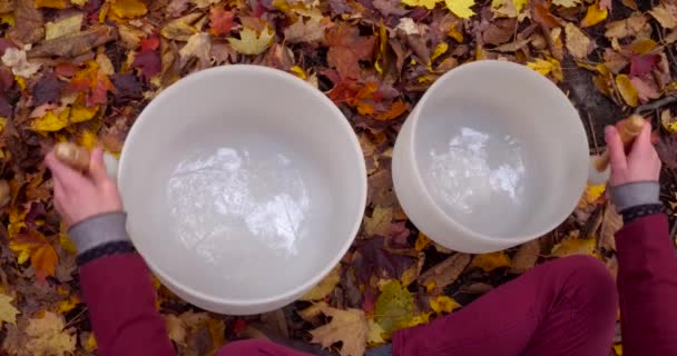 Young man plays crystal bowls in autumn — Stock Video