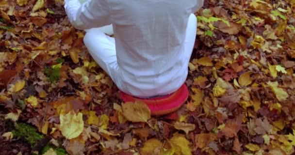 Junger Mann spielt im Herbst Kristallschalen — Stockvideo
