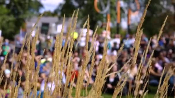 Demonstration seen behind long grass — Stock Video