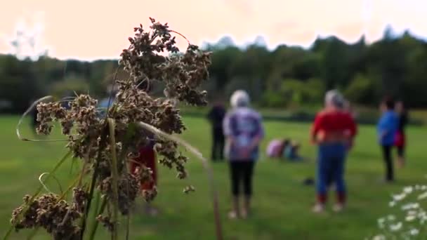 Women exercise in park with dead flowers — Stock Video