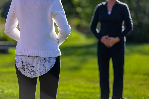 Grupo de personas que practican yoga en el campo de hierba — Foto de Stock