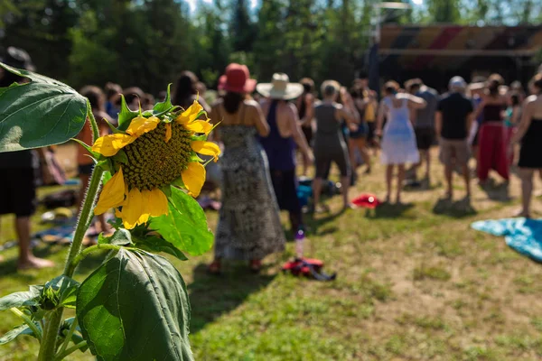 Girasol durante una reunión espiritual — Foto de Stock