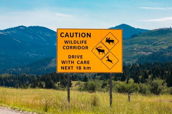 Deer moose elk crossing road signs — Stockfoto