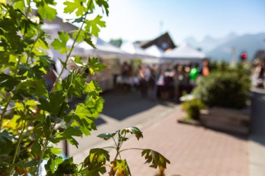 Yaz pazarında sokak manzarası