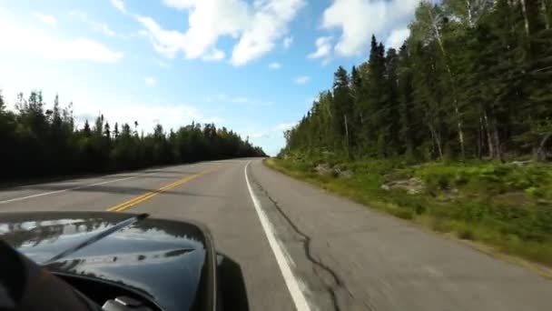 Rijden uitzicht vanaf zwarte Suv op de snelweg — Stockvideo