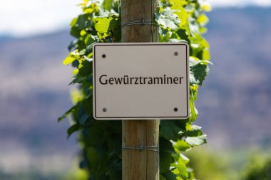 vineyard wine grape variety sign clipart