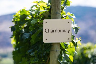 vineyard wine grape variety sign clipart