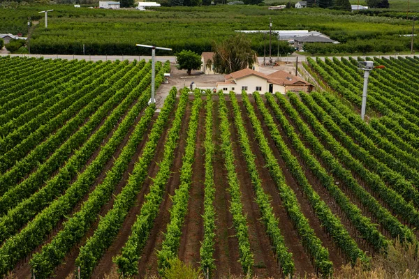 Weingut Bauernhaus im Okanagan-Tal — Stockfoto