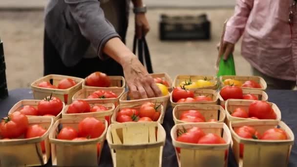 Försäljning av färska ekologiska produkter på gatan — Stockvideo