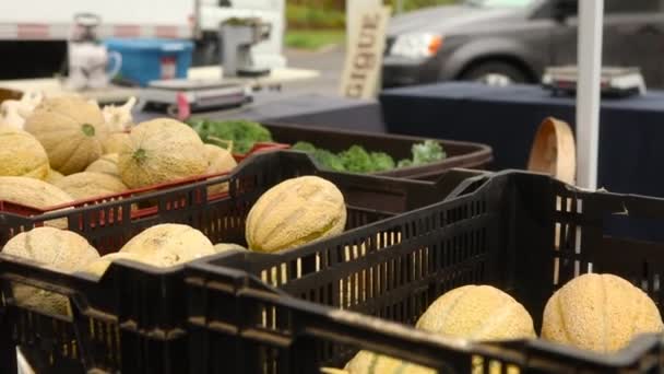 Produtos orgânicos frescos venda no mercado de rua — Vídeo de Stock