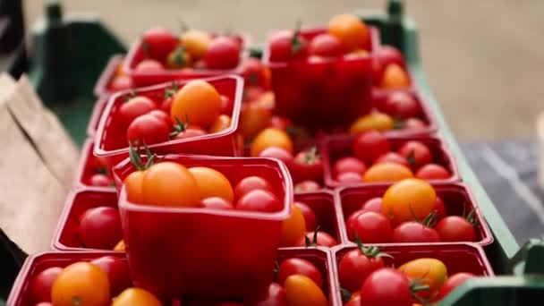 Produits frais biologiques vente au marché de rue — Video