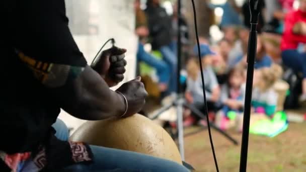 Afrikaanse band spelen op multicultureel evenement — Stockvideo