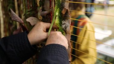 Yerel festivalde bir Wampum hazırlıyorum.