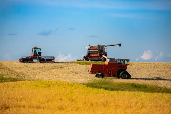Pojazdy rolnicze pracujące na polu uprawnym — Zdjęcie stockowe
