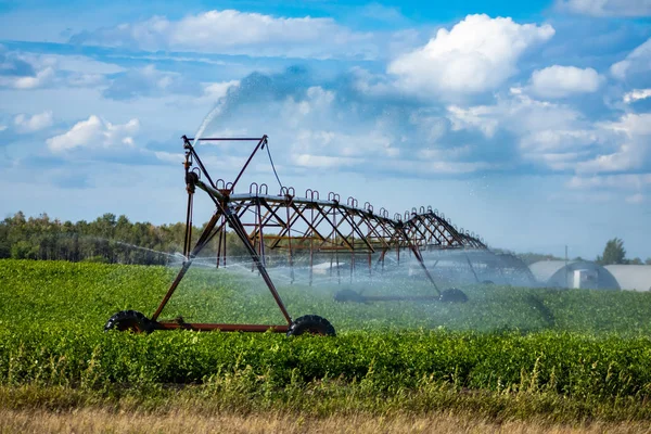 Irrigation sprinkler watering farm crops