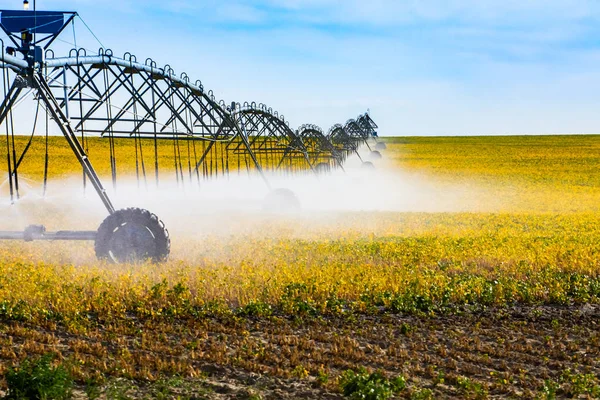 Irrigação aspersão rega culturas agrícolas — Fotografia de Stock