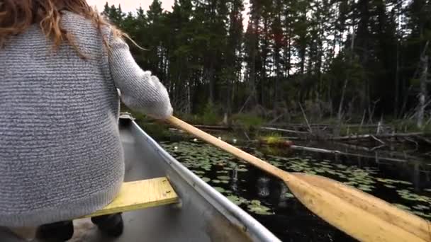 Гребля в каноэ на мирном озере — стоковое видео