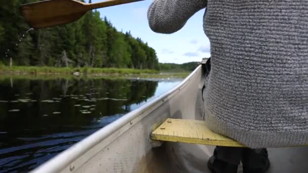 Гребля в каноэ на мирном озере — стоковое видео