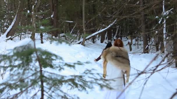 Mystieke sjamaan genezer in winterbos — Stockvideo