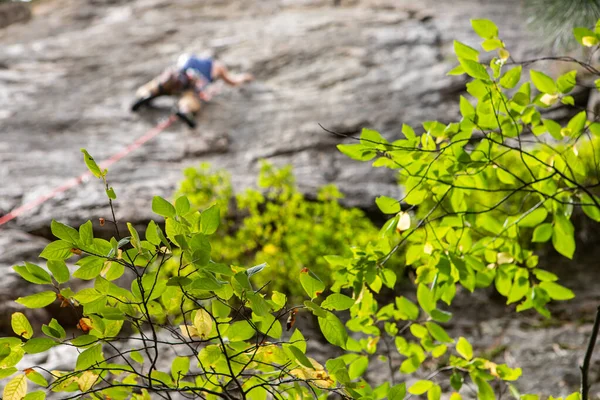 Traditional outdoor rock climber ascends — 스톡 사진