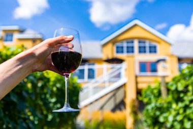 Tadım evine karşı bir kadeh şarap.