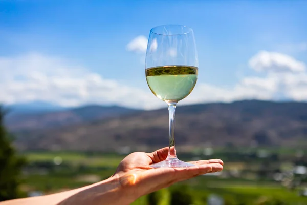 ブドウ畑に対する白ワイングラス — ストック写真