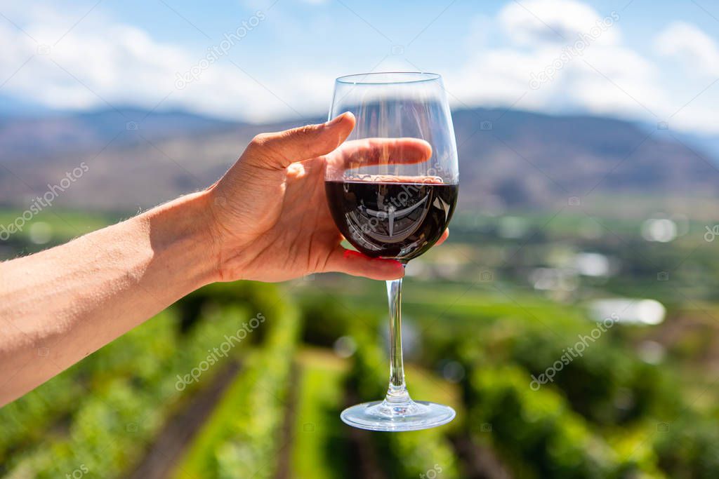 red wine glass against vineyard fields