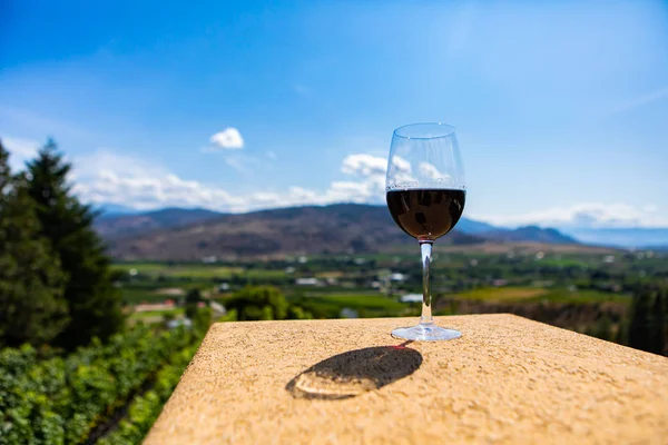 Rött vinglas mot vingårdsfält — Stockfoto
