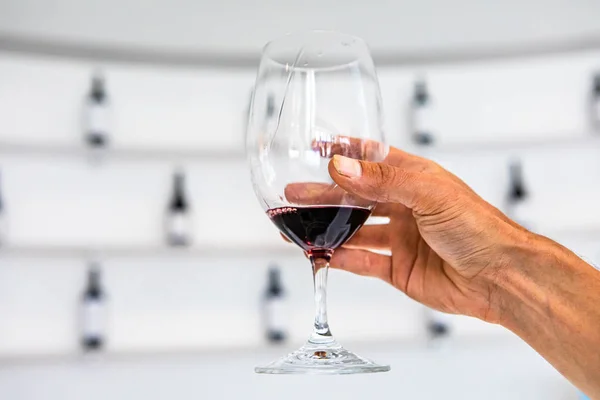 A red wine glass, white tasting room — 스톡 사진