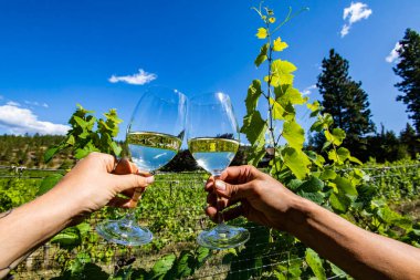 Okanagan Vadisi üzüm bağı üzüm bağları