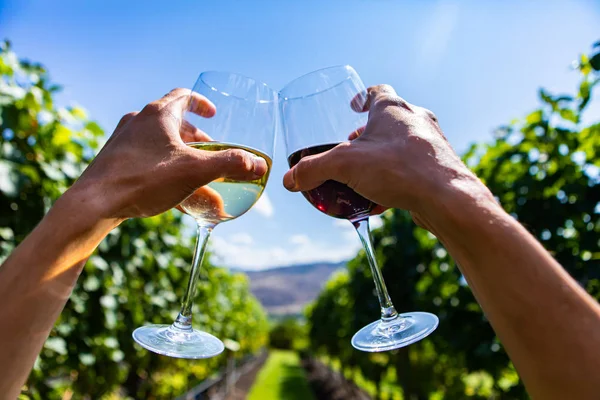 Pareja animando blanco, copas de vino tinto — Foto de Stock